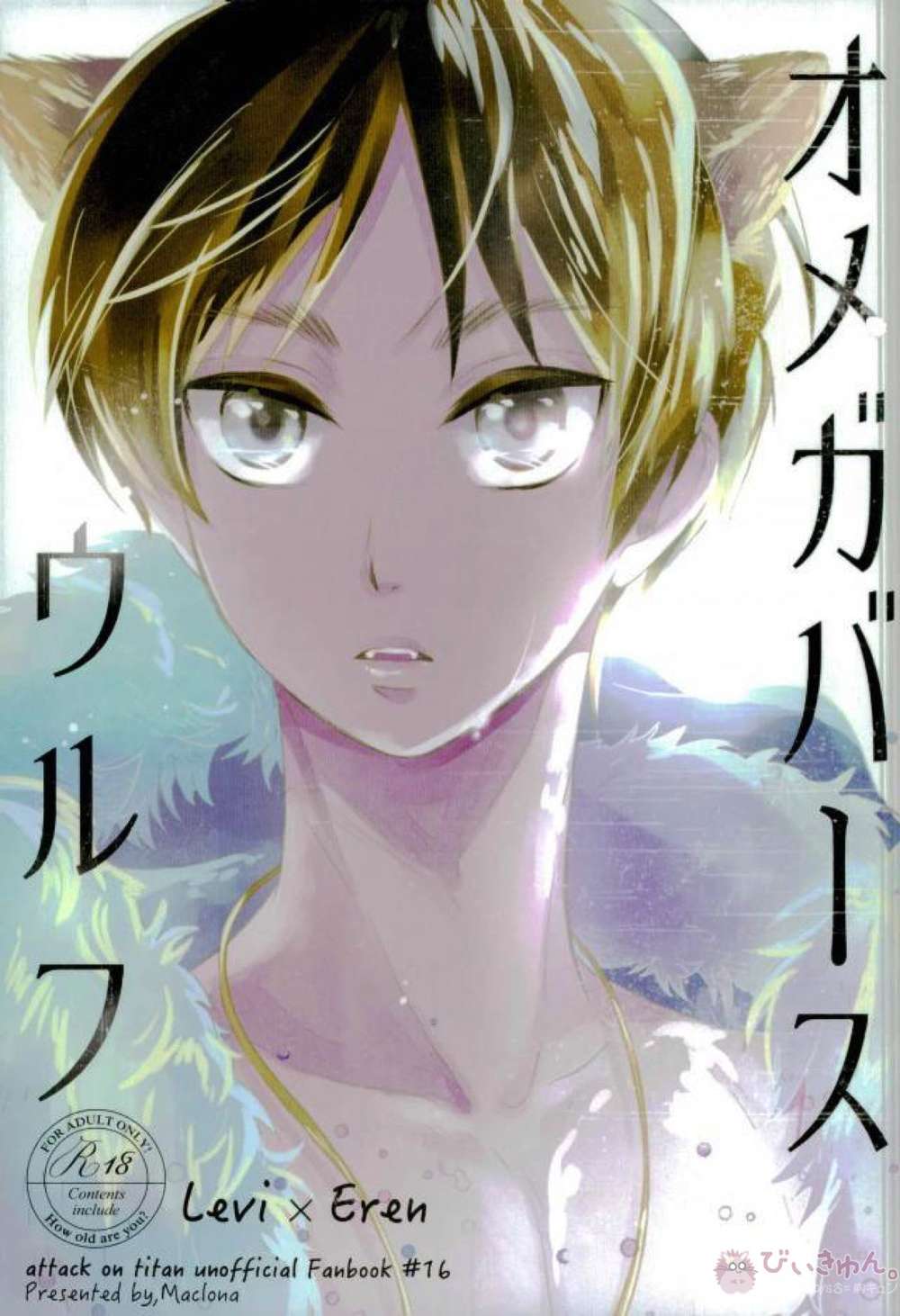 Attack On Titan - Attack On Titan Reiner