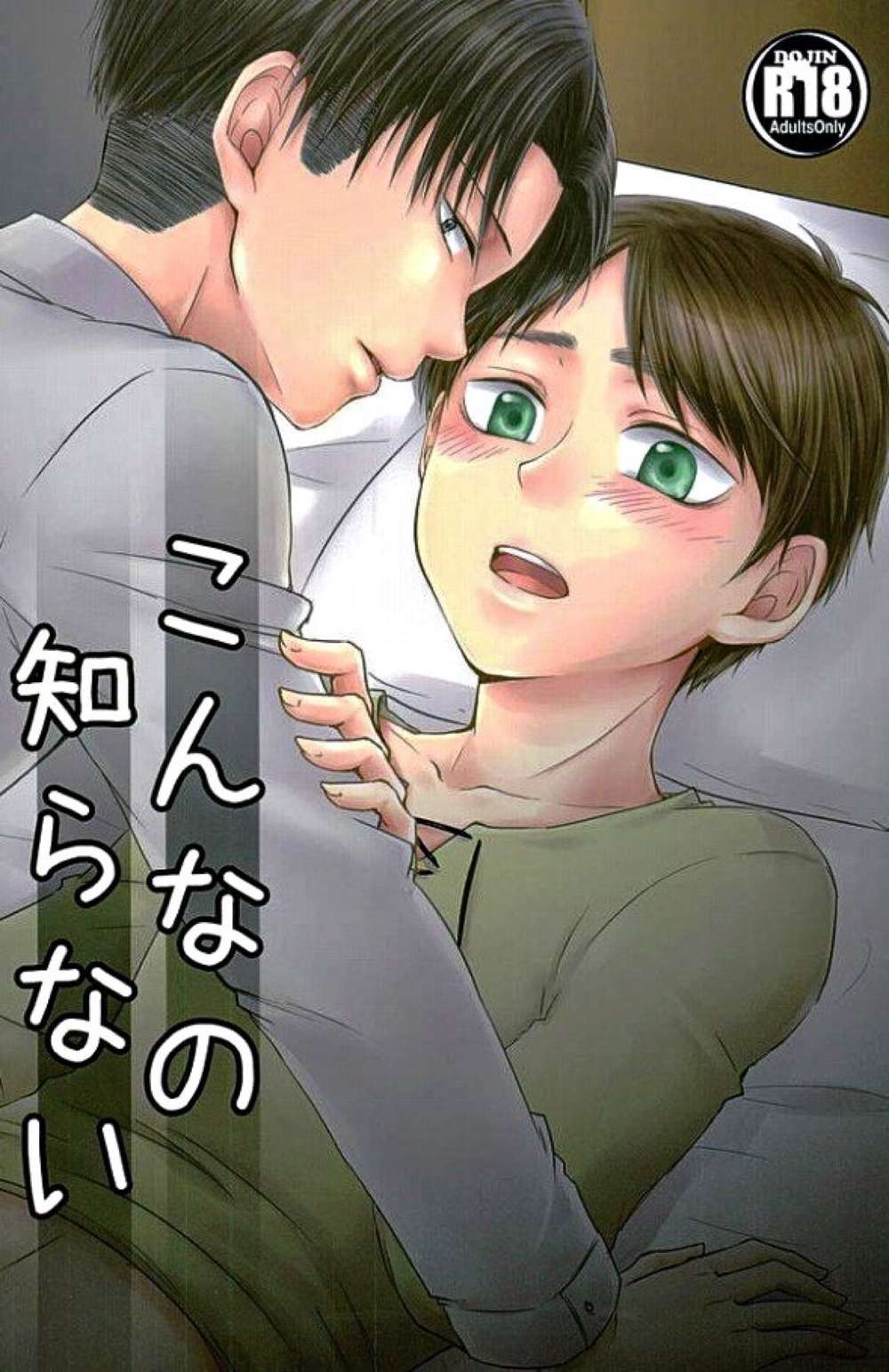 Attack On Titan - Shingeki No Kyojin Livaere