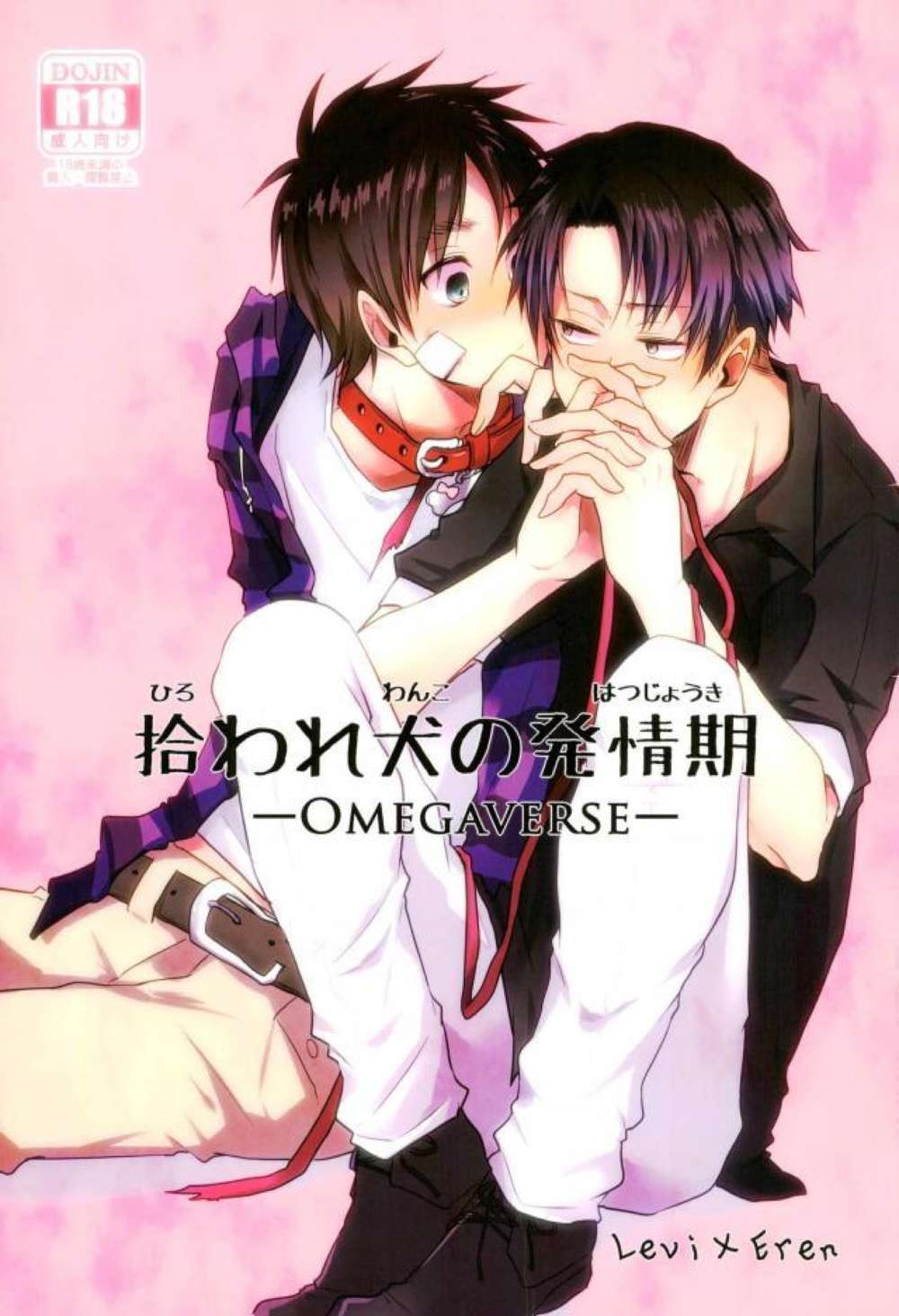 Attack On Titan - Stray Dog Heat Attack On Titan Levi Eren