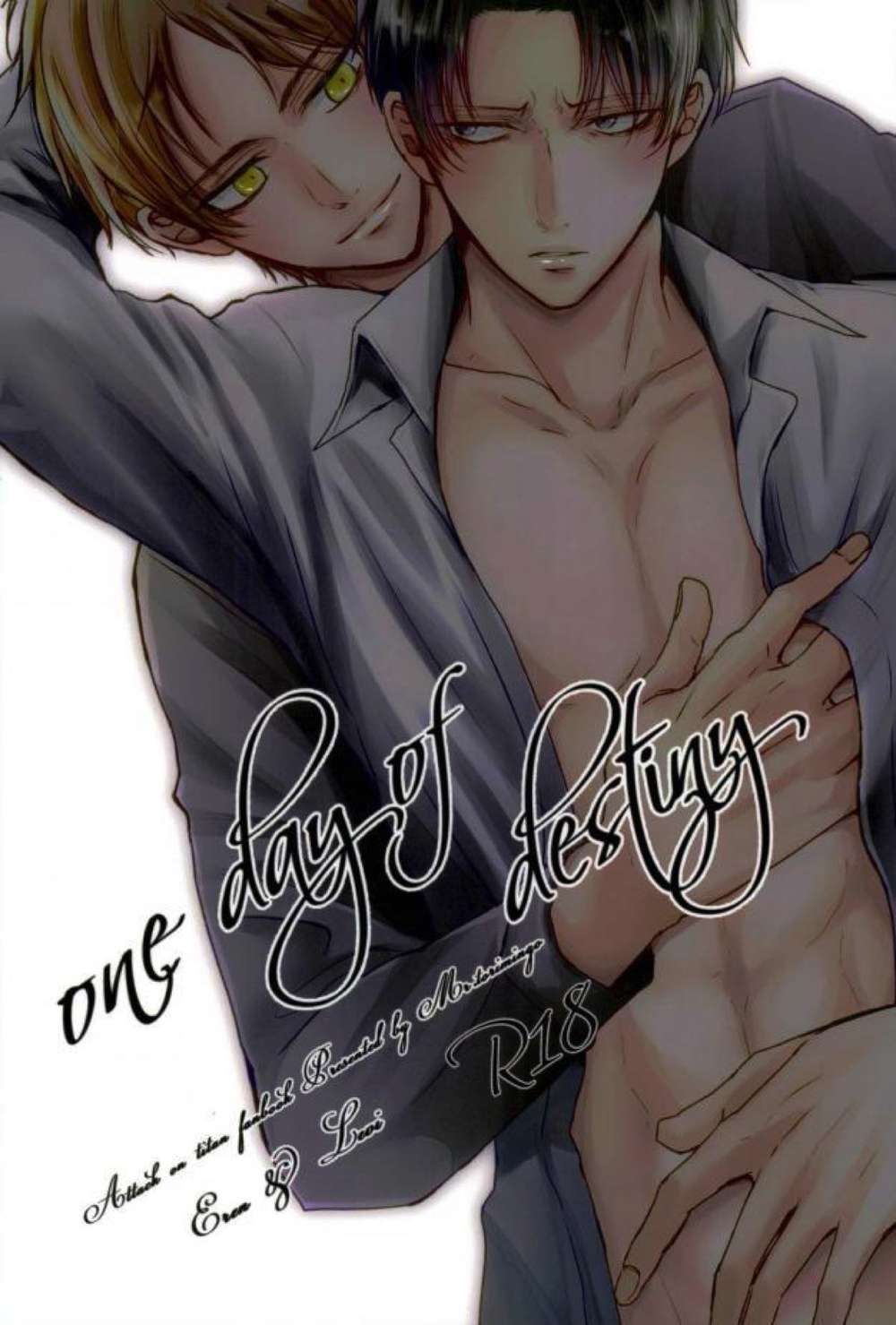 Attack On Titan - One Day Of Destiny Attack On Titan Eryllery