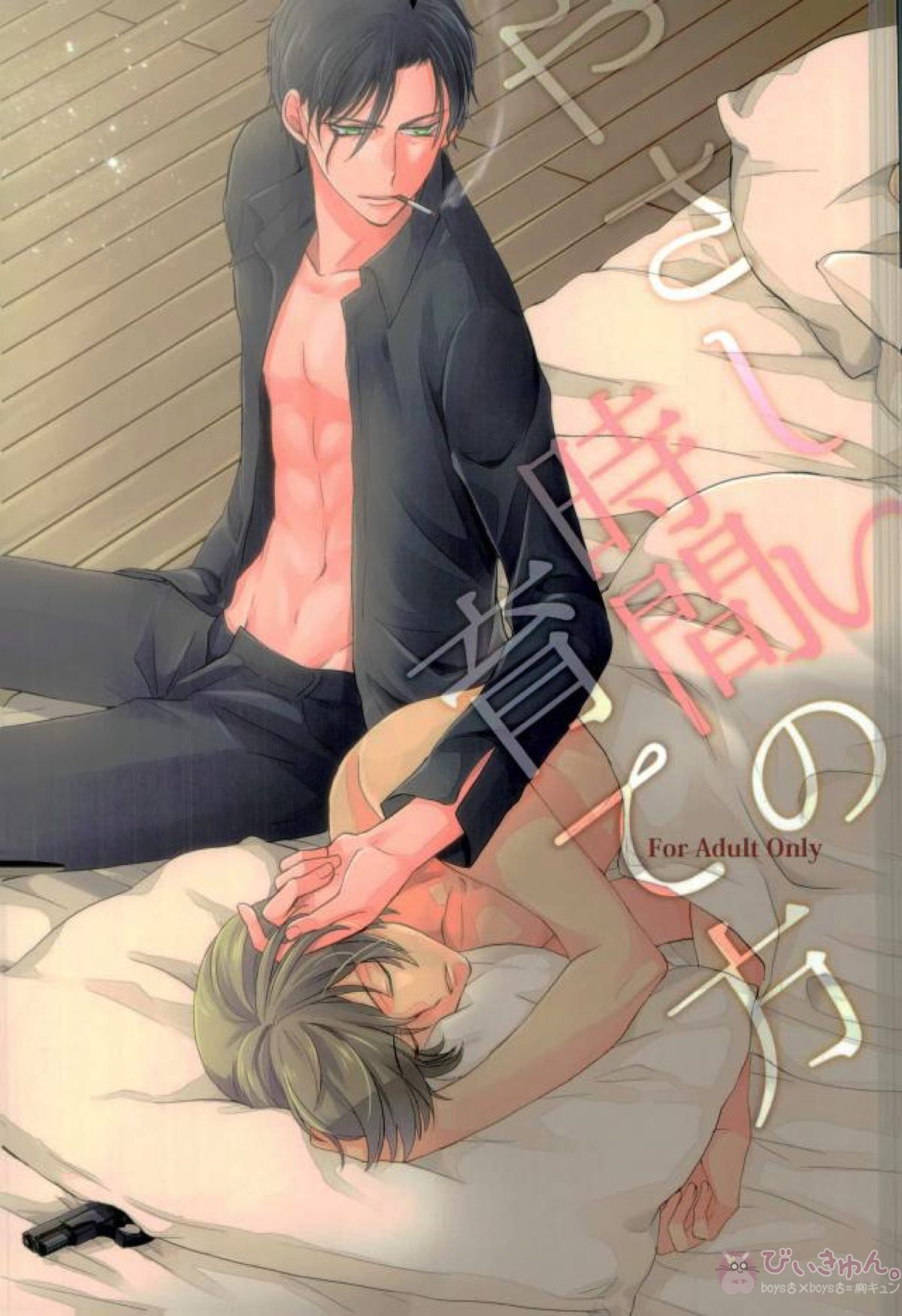 Detective Conan - How To Cultivate Gentle Time Detective Conan Akai X Furuya