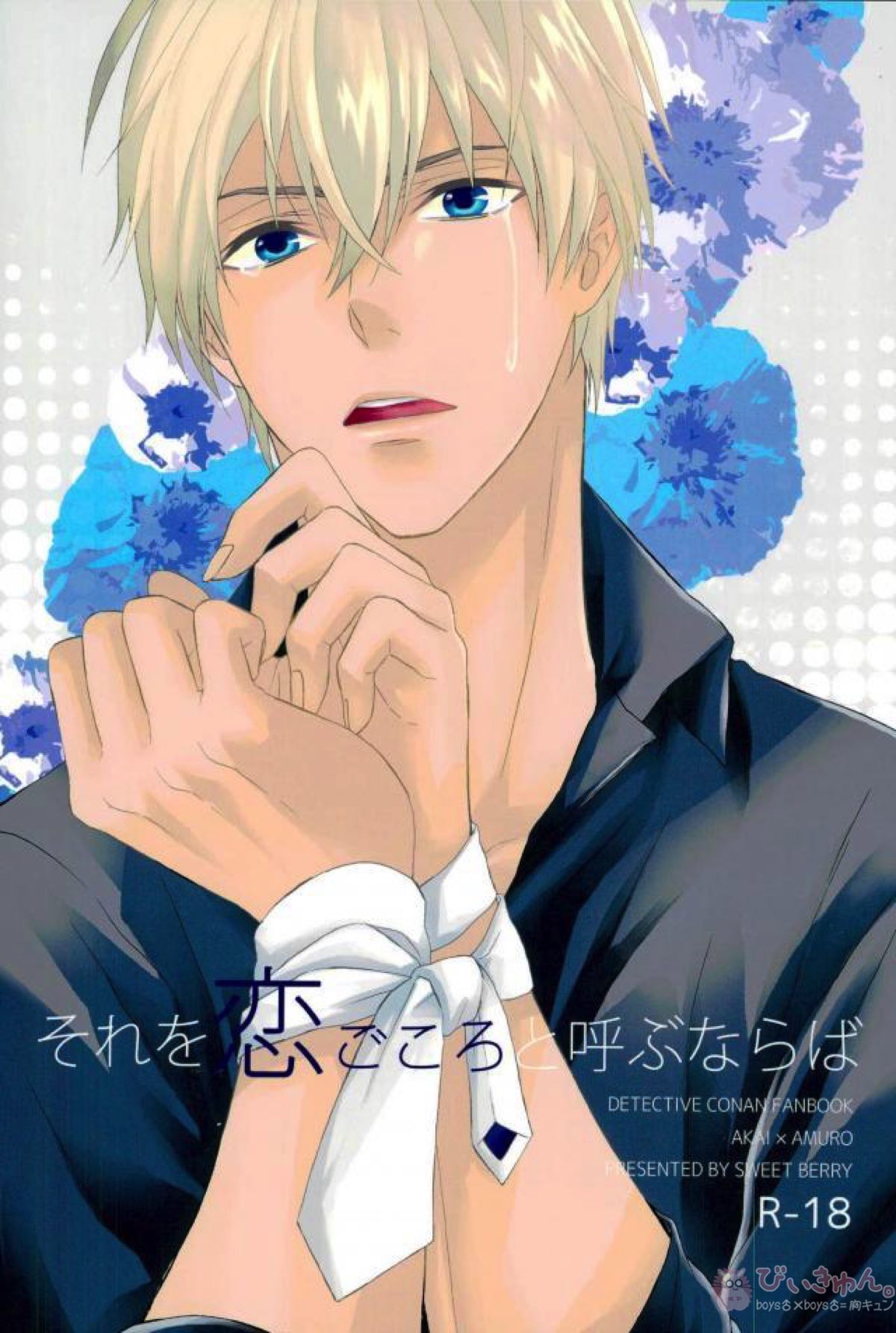 Detective Conan - If You Call It Love Detectiveconan Akaifuruya