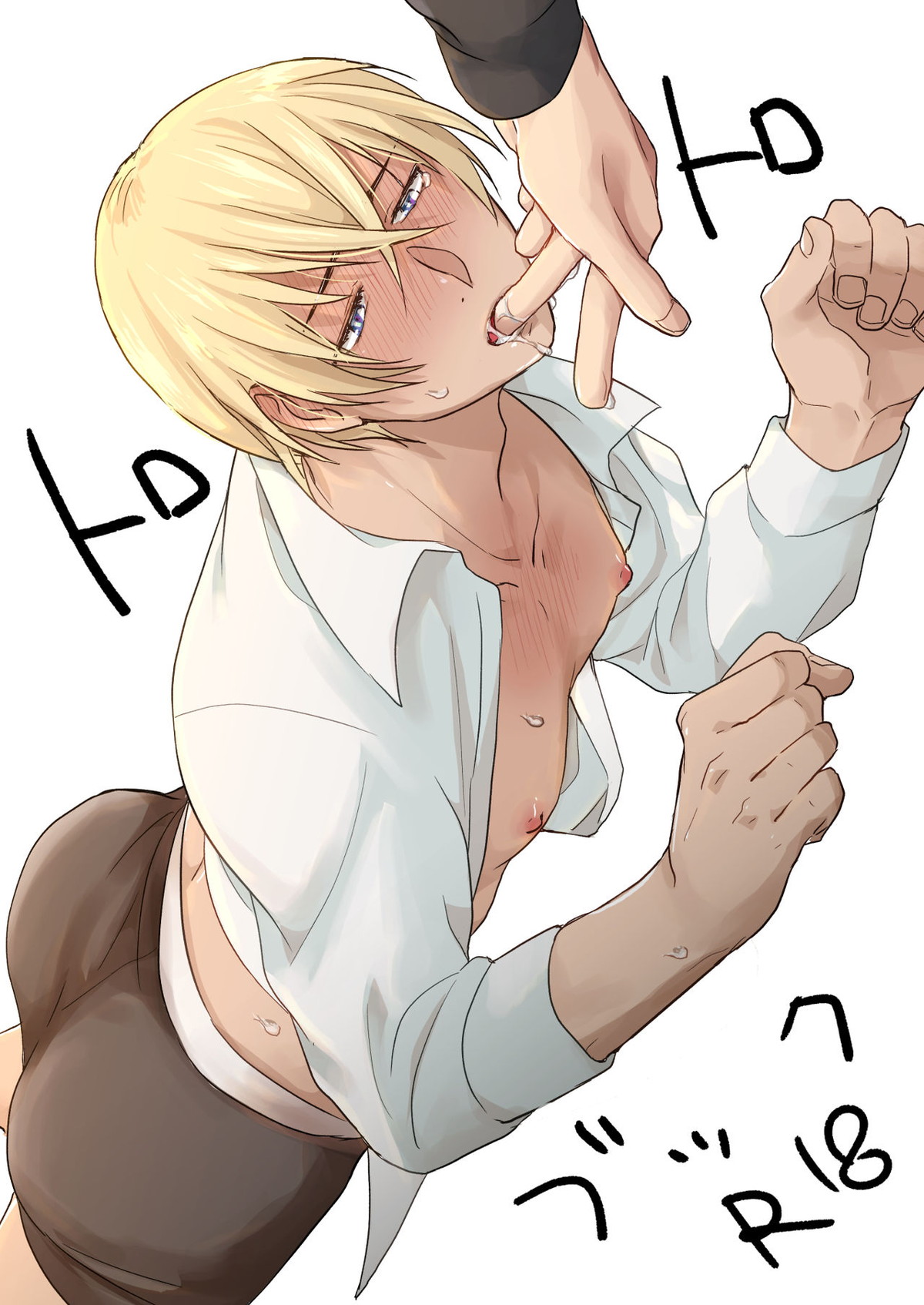 Detective Conan - Torotoro Book Detective Conan Akai X Furuya