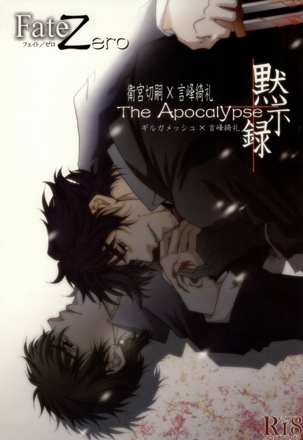 Fate Series - The Apocalypse Fate Shiro X Kotomine
