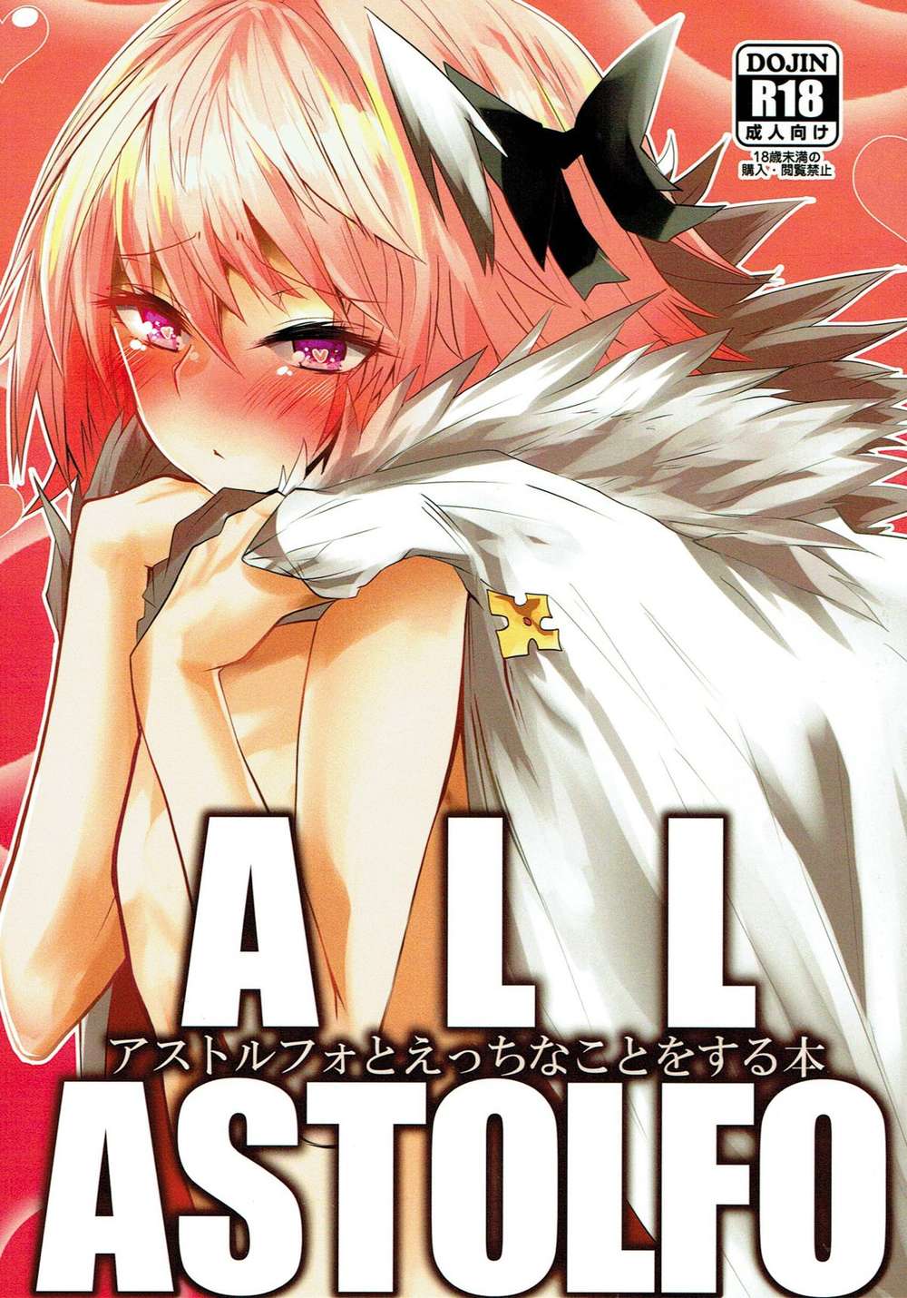 Fate Series - Astolfo Adult Content Book