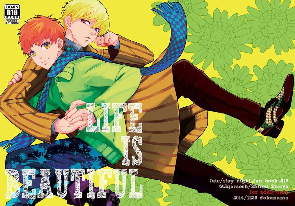 Fate Series - Life Is Beautiful Fate Series