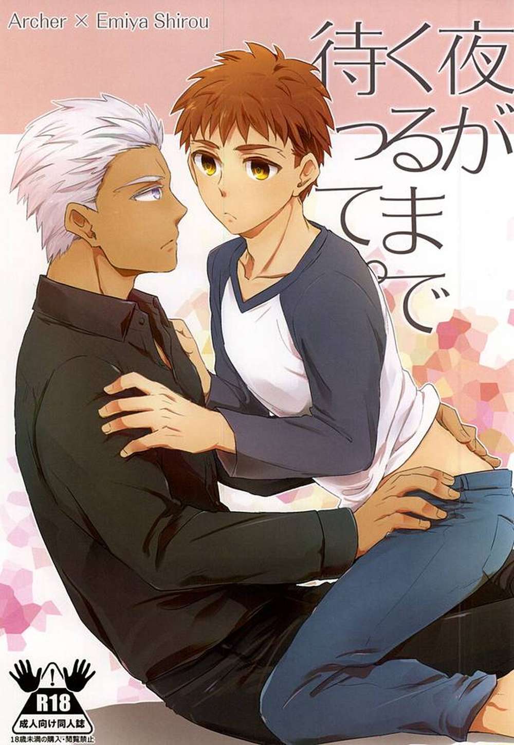 Fate Series - Wait Until Night Fate Series Archer