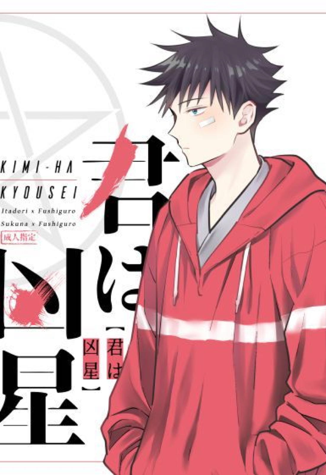 Jujutsu Kaisen - You Are Fatal Beast Jujutsu Kaisen Tora Fuku