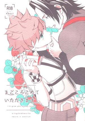 Kingdom - Heartfelt Meal Kingdom Hearts Temple Bento