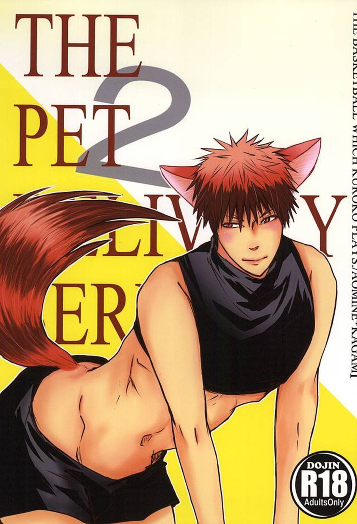 Kuroko No Basketball - The Pet Delivery Service 2 Kuroko No Basket Aokaga