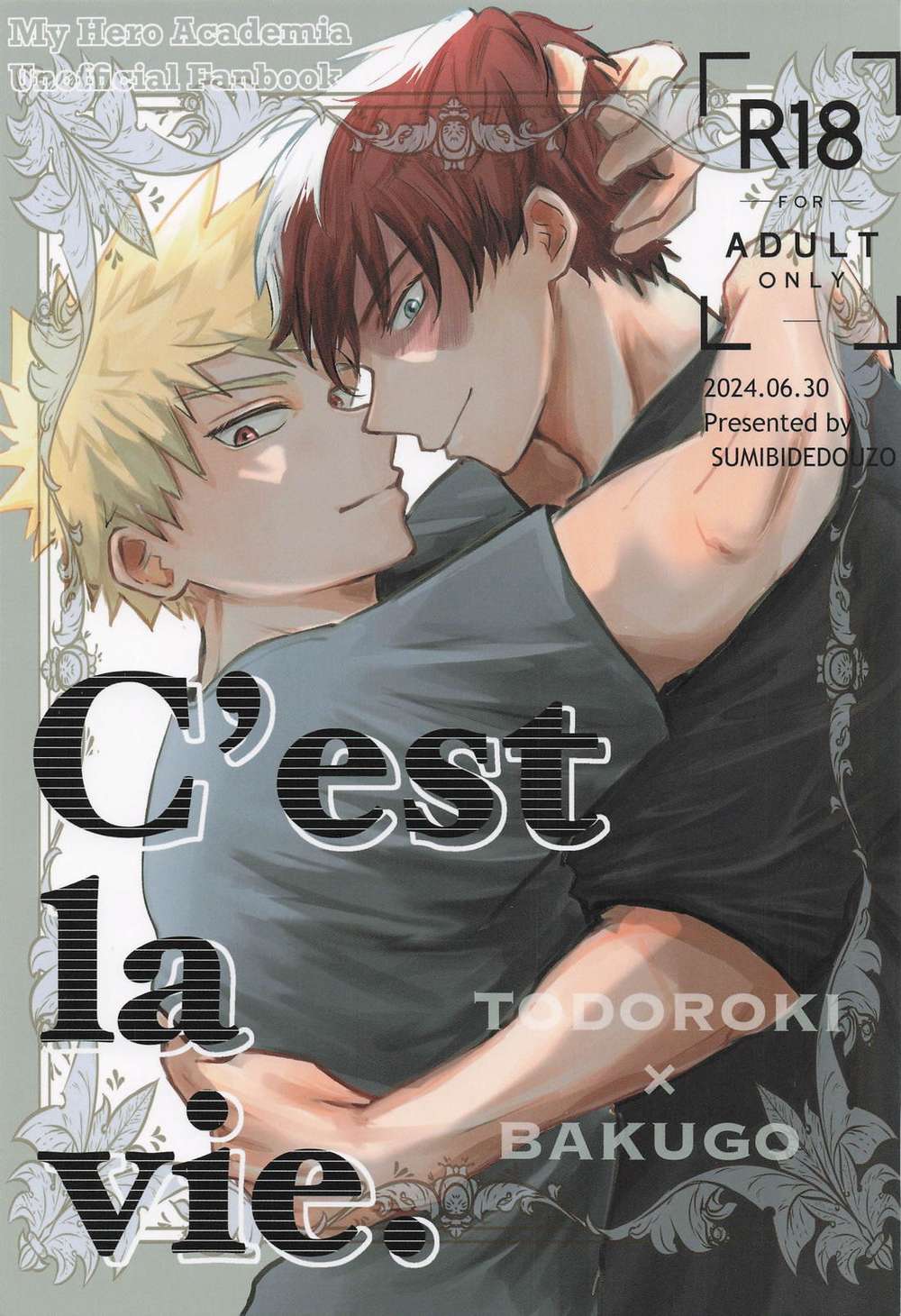 My Hero Academia - Cest La Vie Boku No Hero Academia Todoroki Bakugo