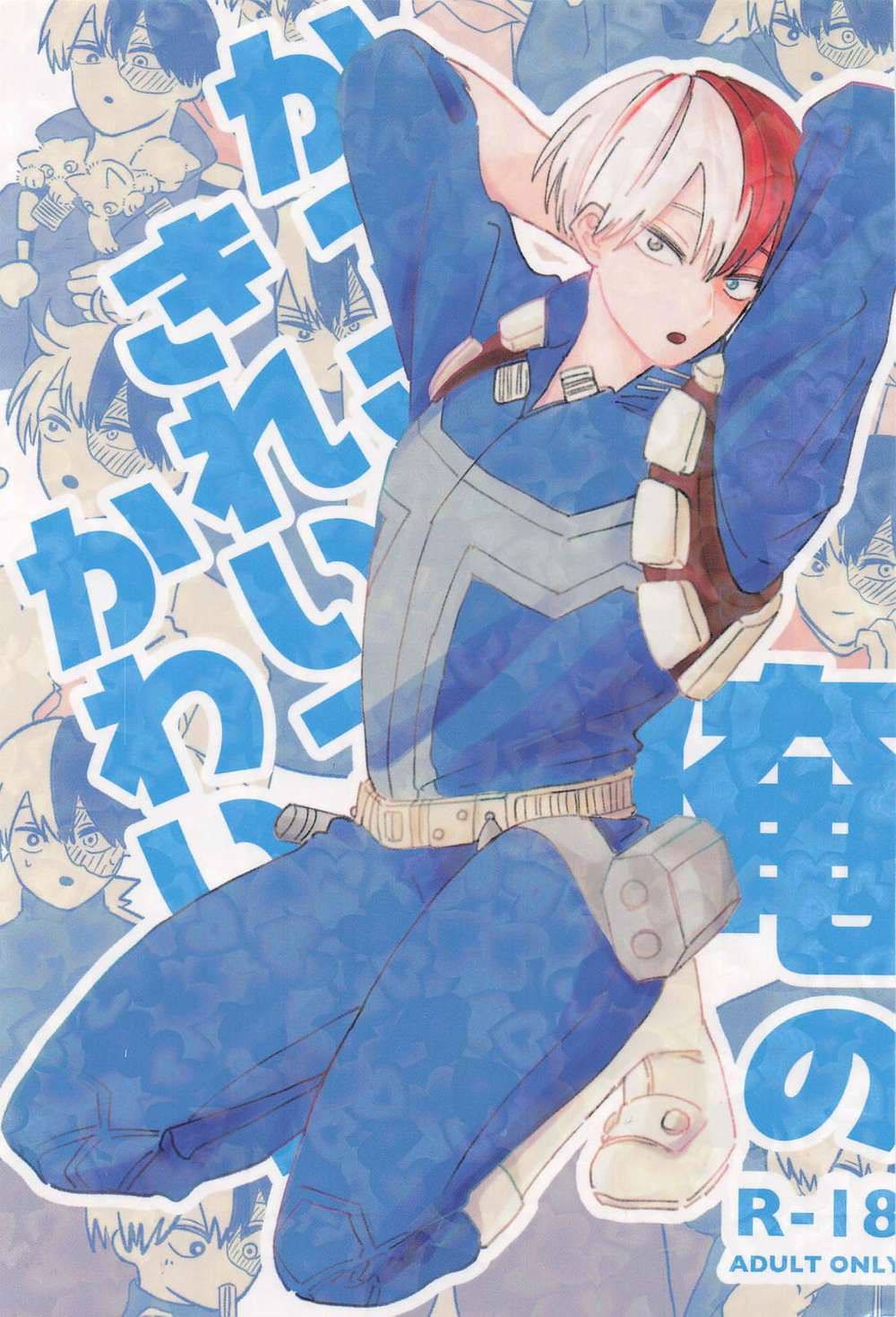 My Hero Academia - Hero Academia Burst Fire