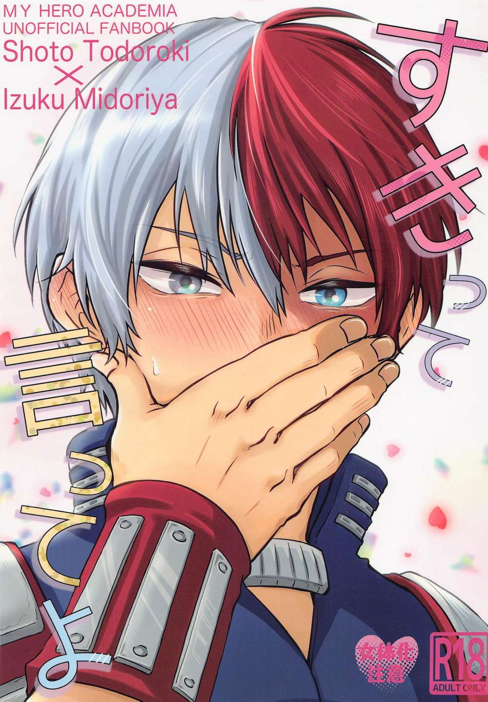 My Hero Academia - Hero Academia Todoroki