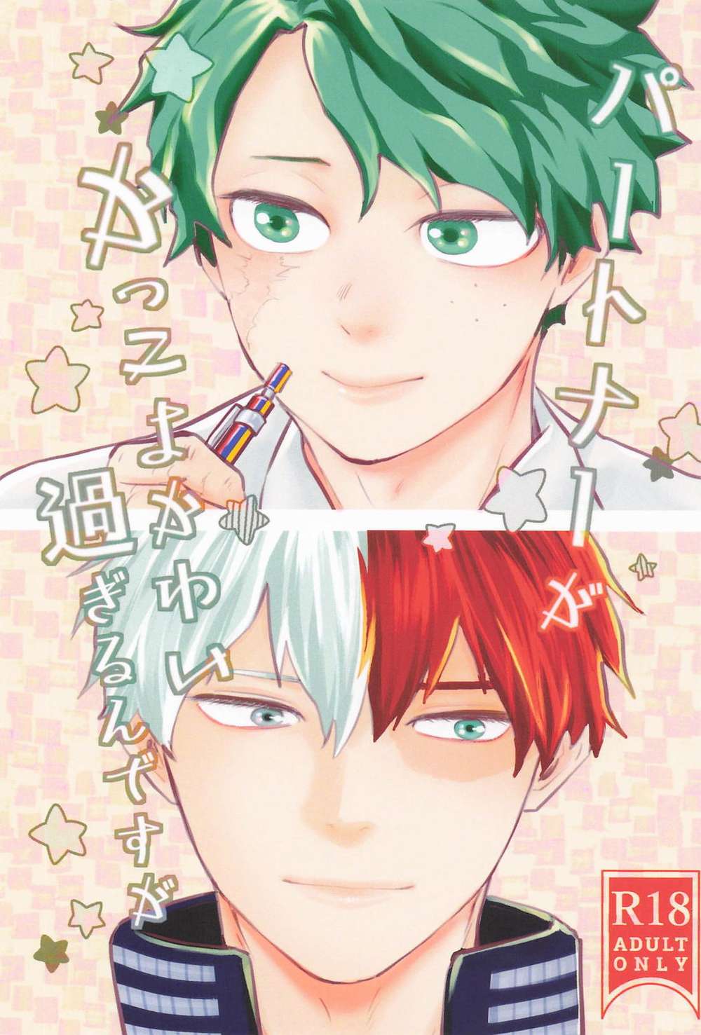 My Hero Academia - Hero Academia Todoroki Partner