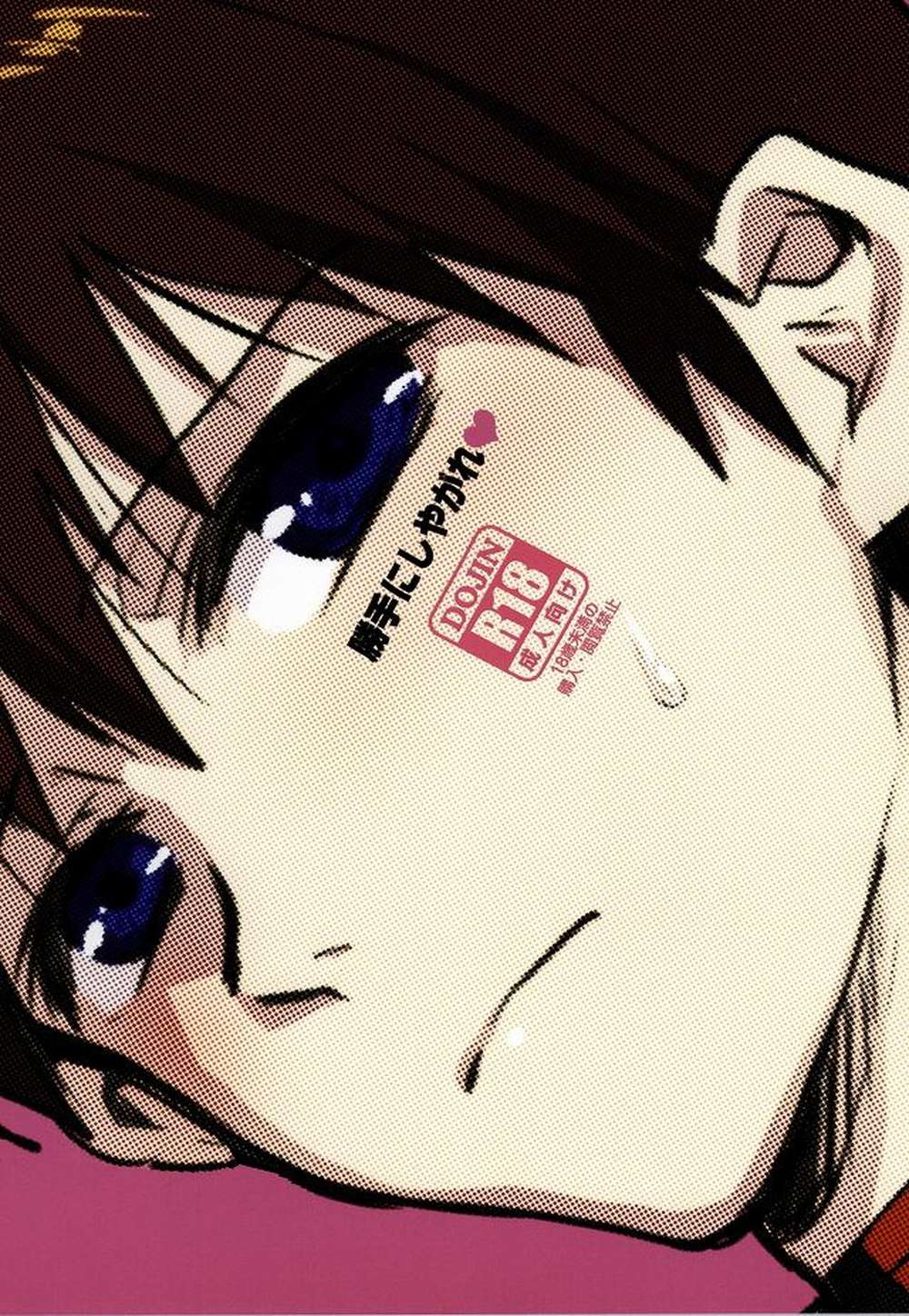 Neon Genesis Evangelion - Katenishiyagare Shinseiki Evangelion Kaoshin