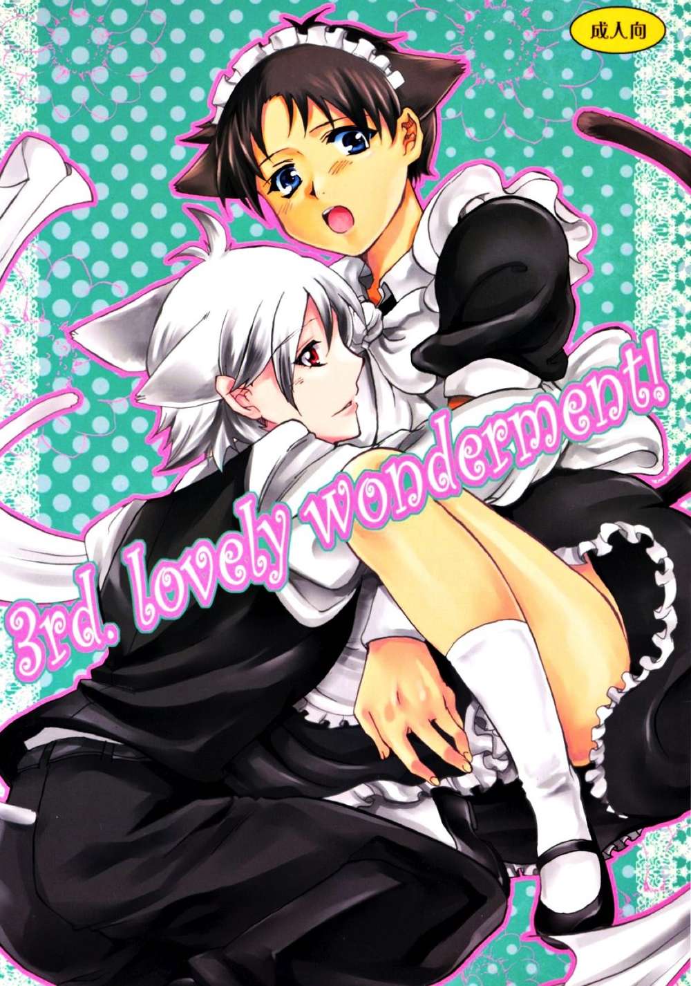 Neon Genesis Evangelion - Third Lovely Wonderment Eva Caoshin