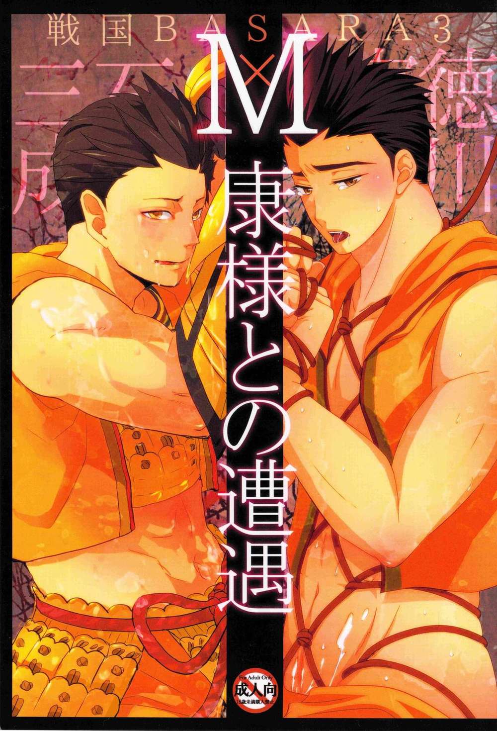 Sengoku Basara - Encounter With M Kou Sama Sengoku Basara Sanka