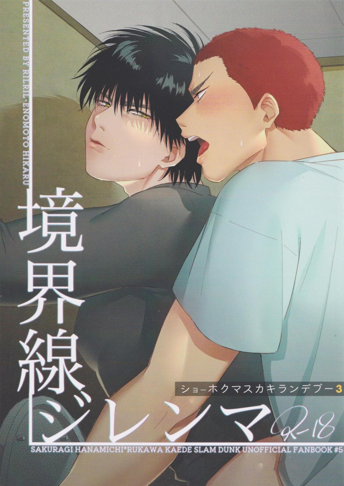 Slam Dunk - Boundary Dilemma Slam Dunk Hana Ryu