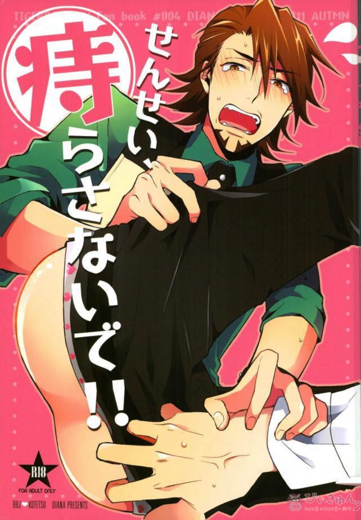 Tiger Bunny - Tiger And Bunny Usagi Tora Health