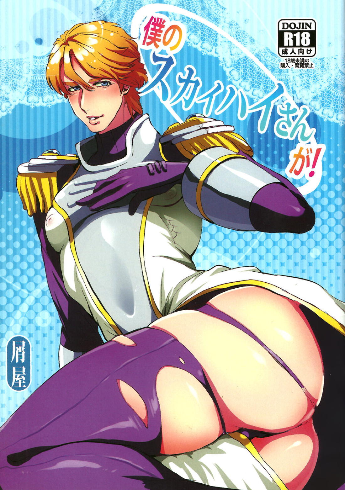 Tiger Bunny - 僕のスカイハイさんが!【Tiger＆Bunny モブ×スカイハイ】