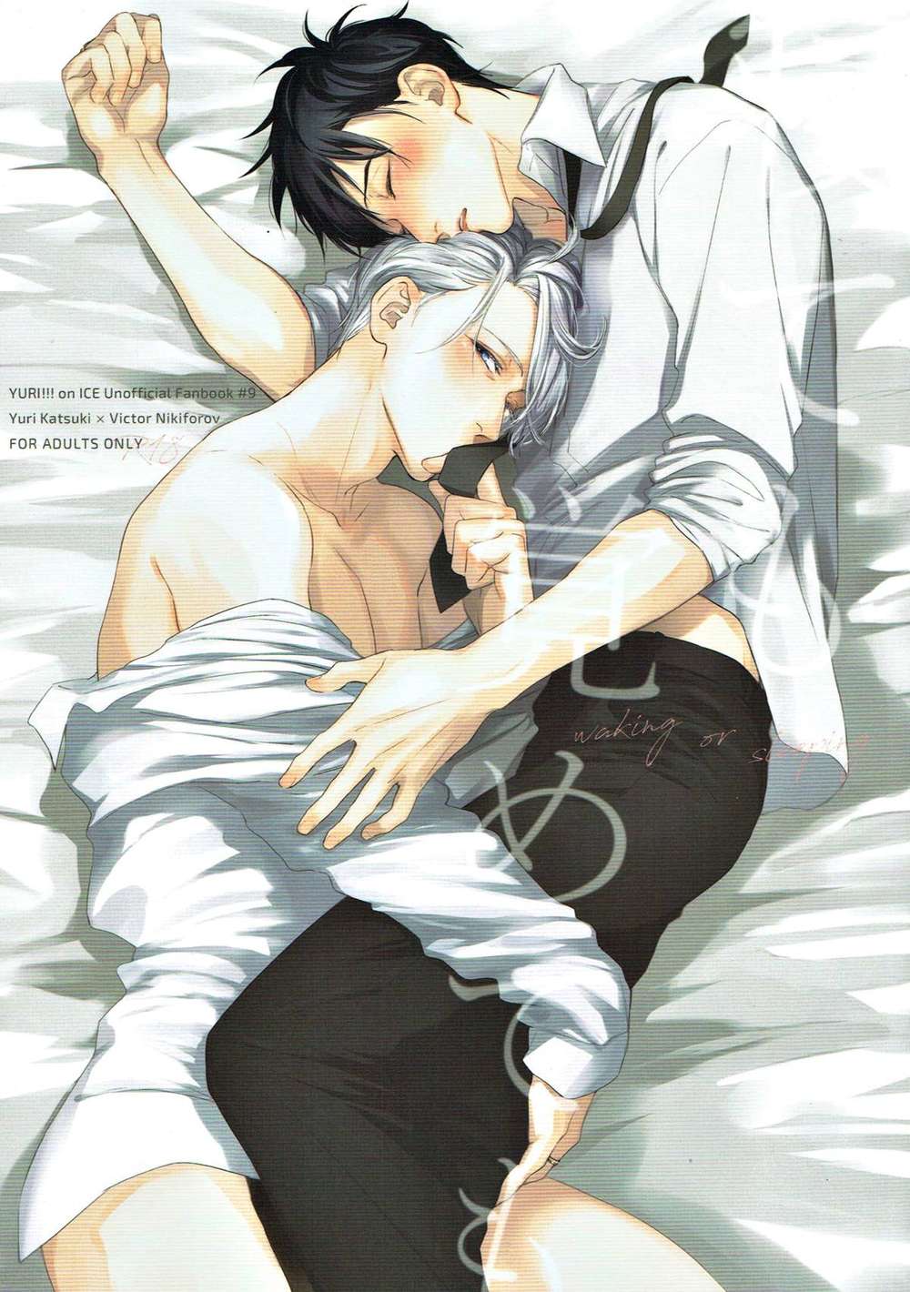 Yuri!!! On Ice - Asleep Or Awake Yuri On Ice Brave Vik