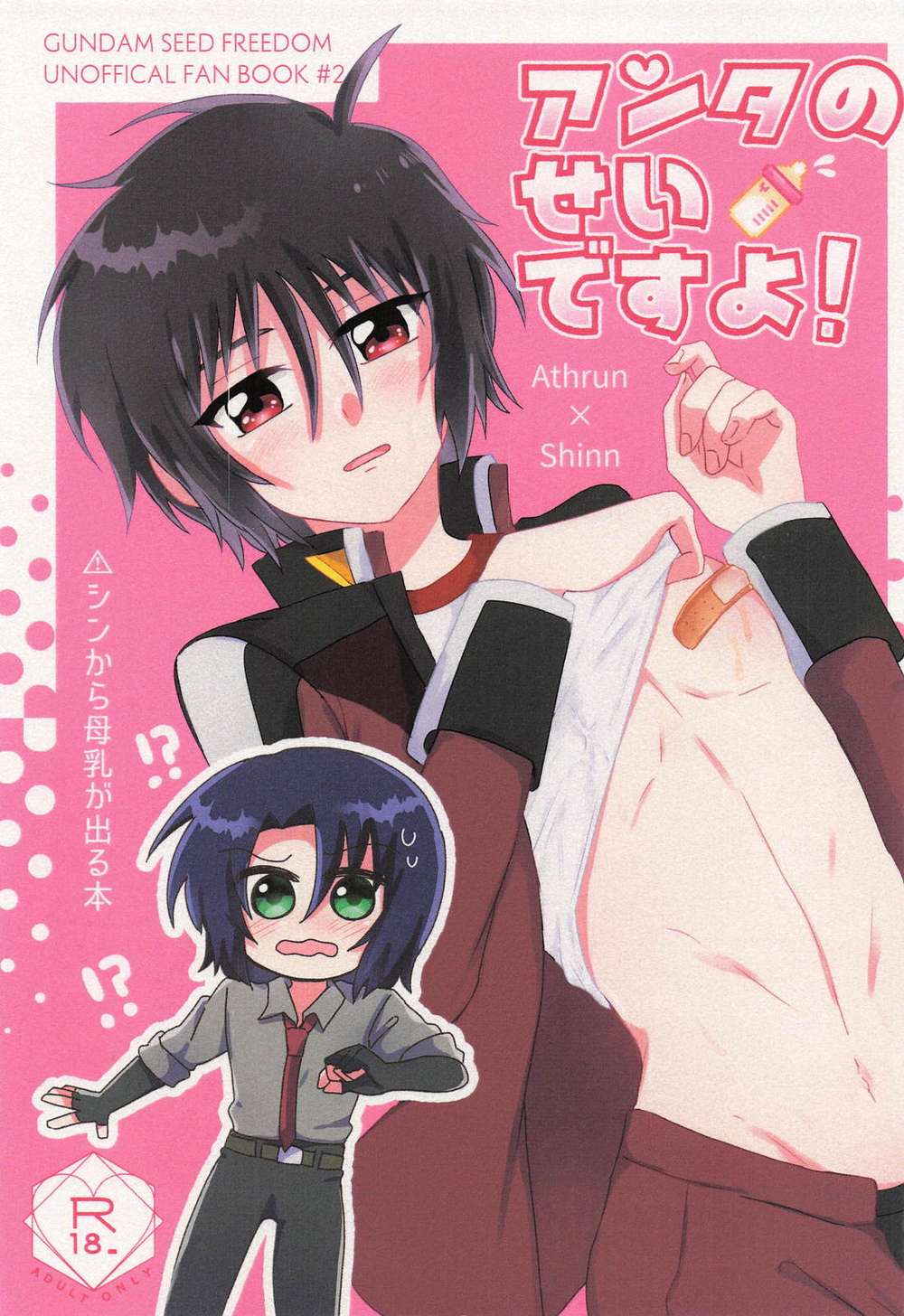 Mobile-Suit-Gundam - Its Your Fault Gundam Seed Destiny